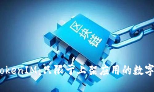 : 探讨TokenIM：只限于上架应用的数字钱包吗？