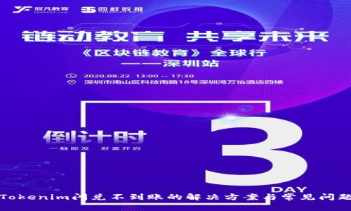 Tokenim闪兑不到账的解决方案与常见问题