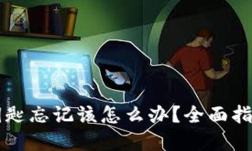 区块链钱包钥匙忘记该怎么办?全面指南与解决方案