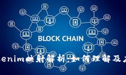 Tokenim映射解析：如何理解及应用