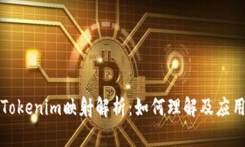 Tokenim映射解析：如何理解及应用